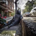 Abagail Nader